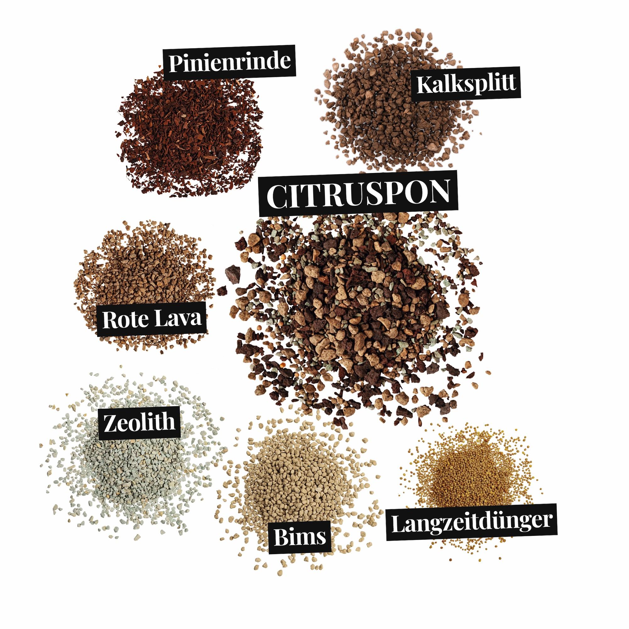 Pflanzsubstrat CITRUSPON